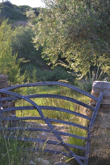 Olive wood gate, Menorca